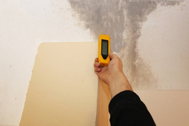 Best Post-Remediation Verification Testing  in Warsaw, NC